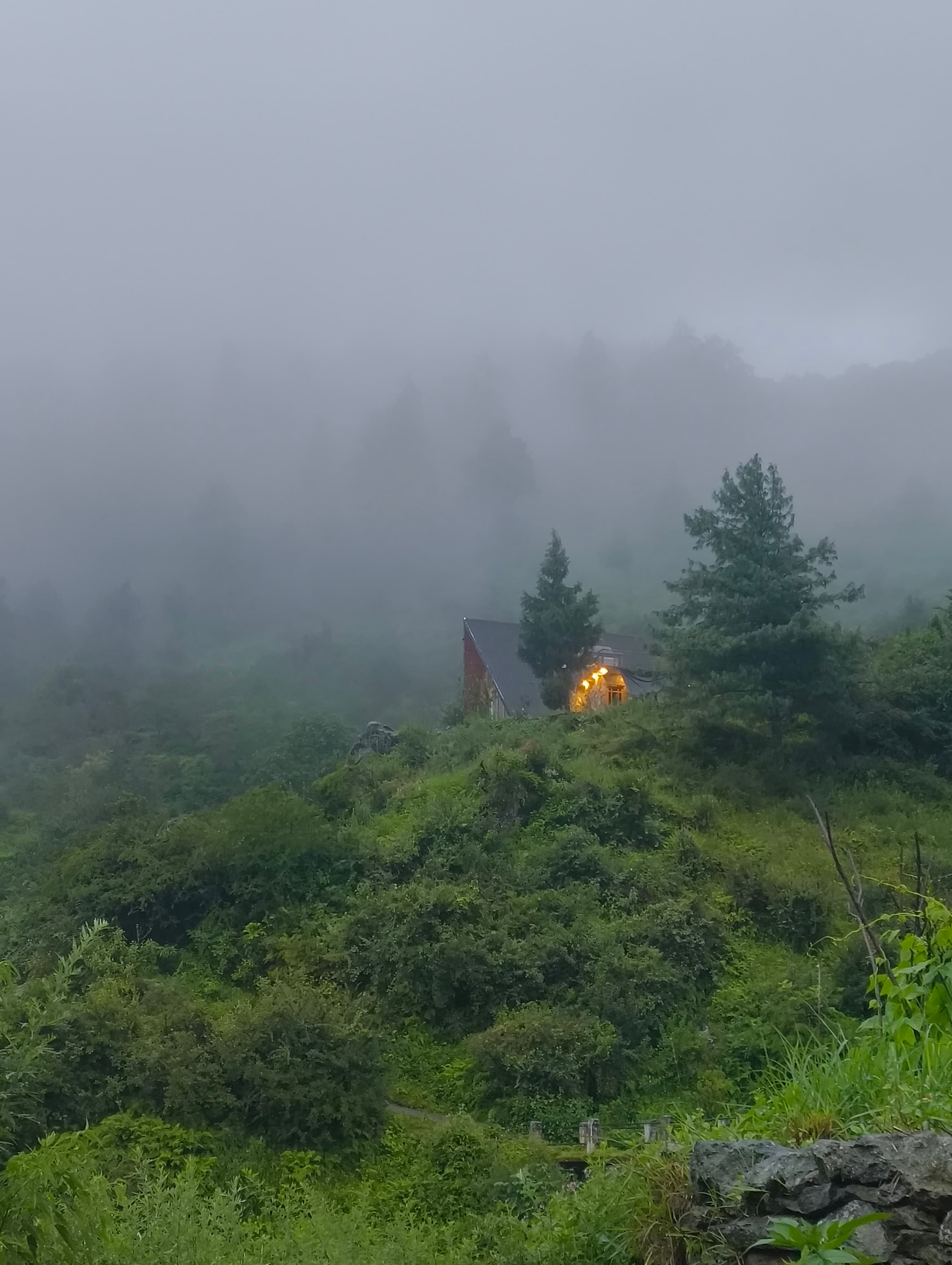 Vaadi cabin in monsoon fog — warm light glowing through the mist on a green hilltop