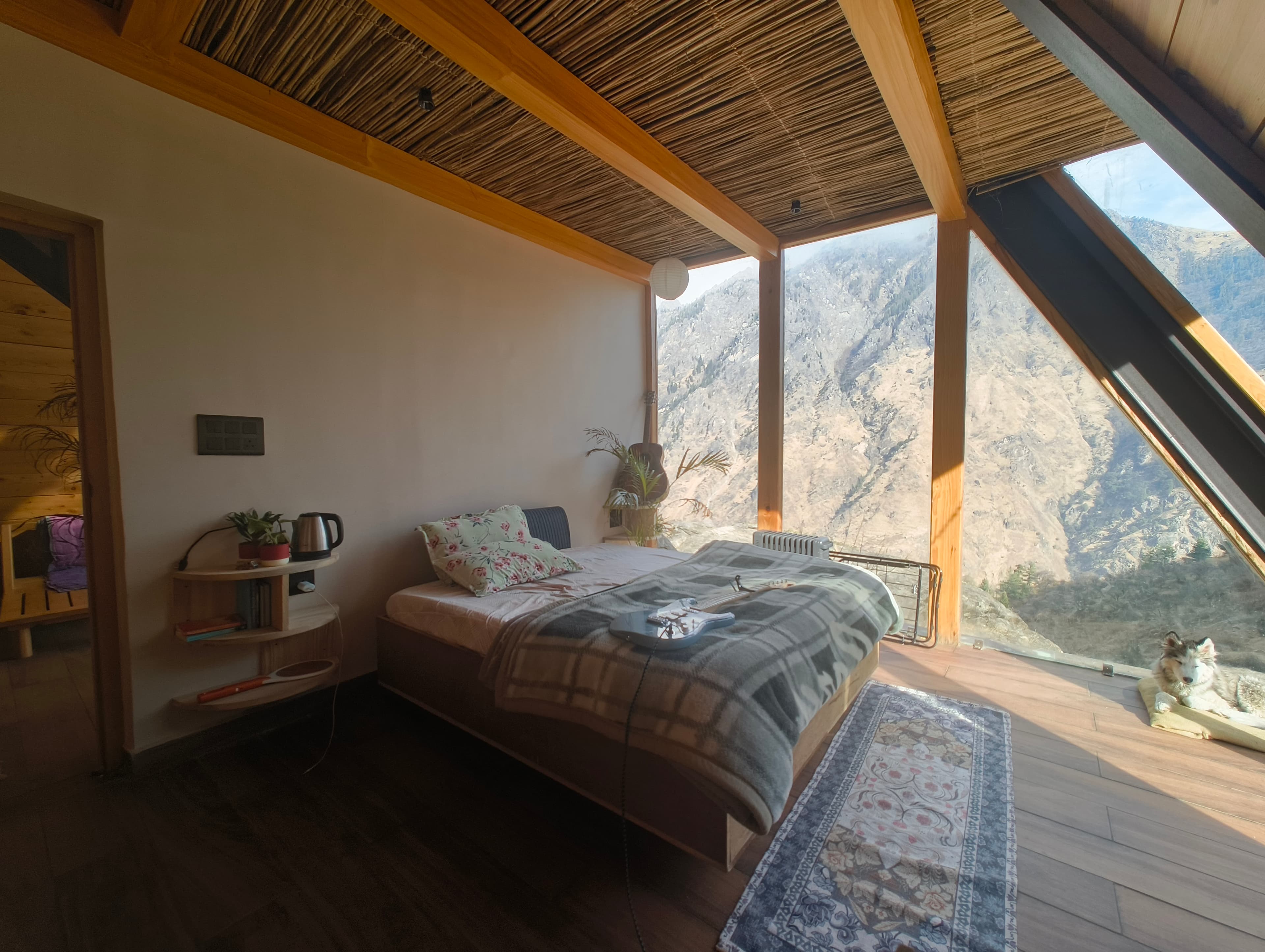 Forest View room — bed with mountain valley views through A-frame glass, cat basking in the sun