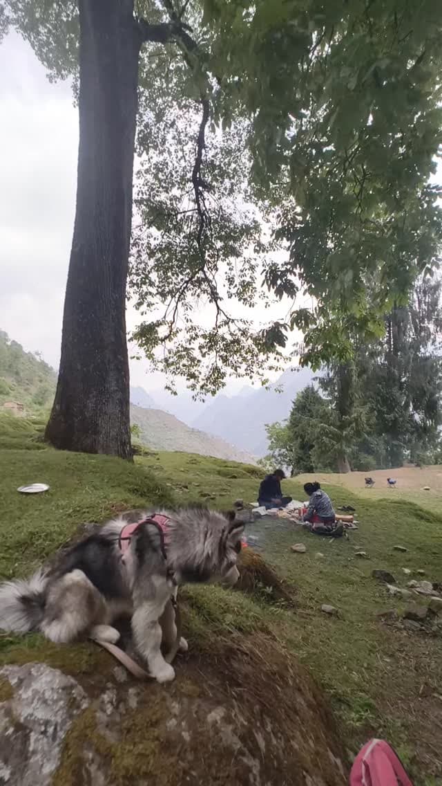 Vaadi reel